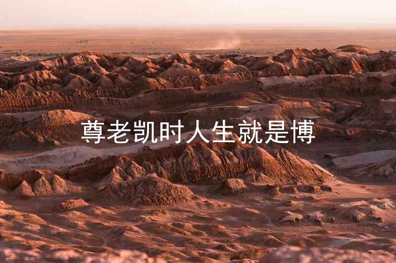 尊老凯时人生就是博